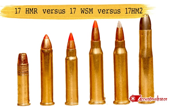 17 HMR versus 17 WSM versus 17HM2