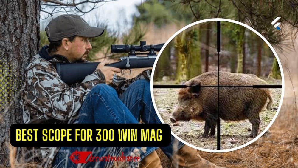 Best Scope For 300 Win Mag reviews 