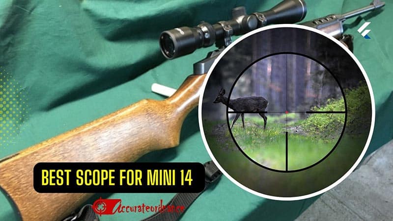 Best Scope For Mini 14 
