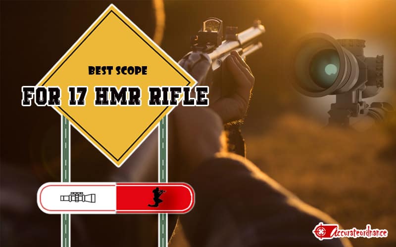 Best Scope For 17 HMR Rifle 