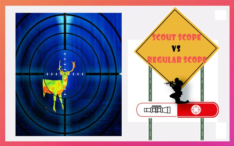 Scout Scope Vs Regular Scope