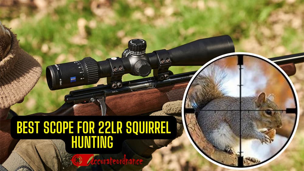 Best Scope for 22LR Squirrel Hunting Reviews 