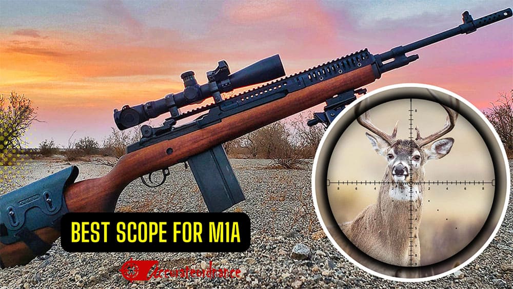 Top 5 Best Scope For M1a Reviews 2023 Updated 6767