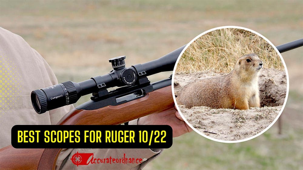Best Scope For Ruger 10/22 Reviews