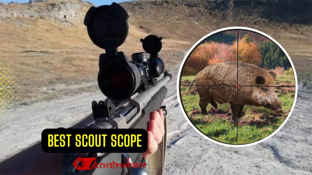 Best Scout Scope Reviews