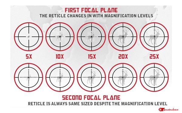 Focal Planes