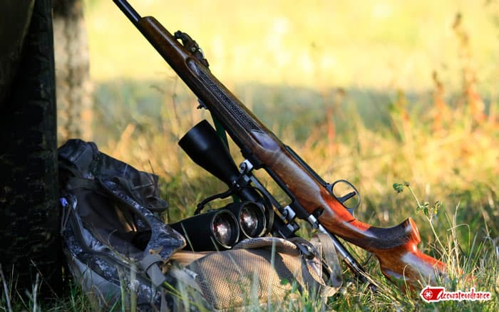 Things To Consider Before Buying A Shotgun Scope