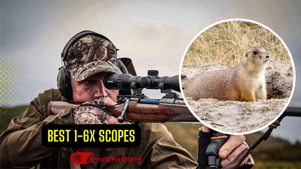 best 1-6x scopes reviews