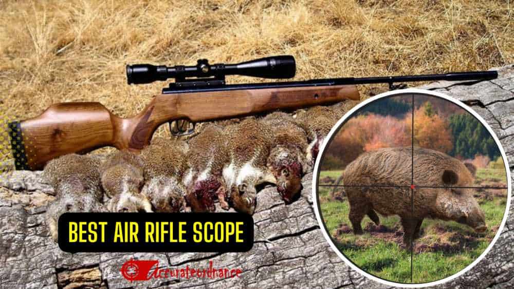 Best Air Rifle Scope