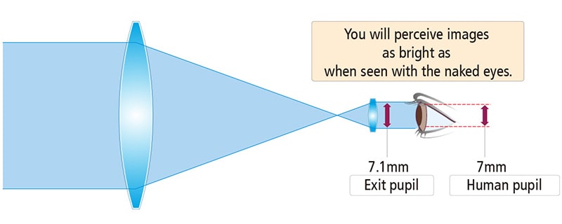  Exit Pupil Diameter