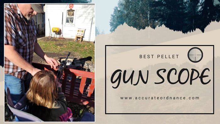 Best Pellet Gun Scope Reviews