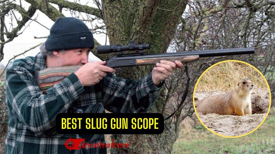 Best Slug Gun Scope Reviews