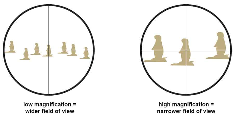 Field of View and Magnification