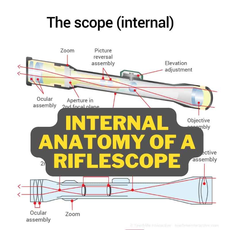 Internal Anatomy of a Riflescope