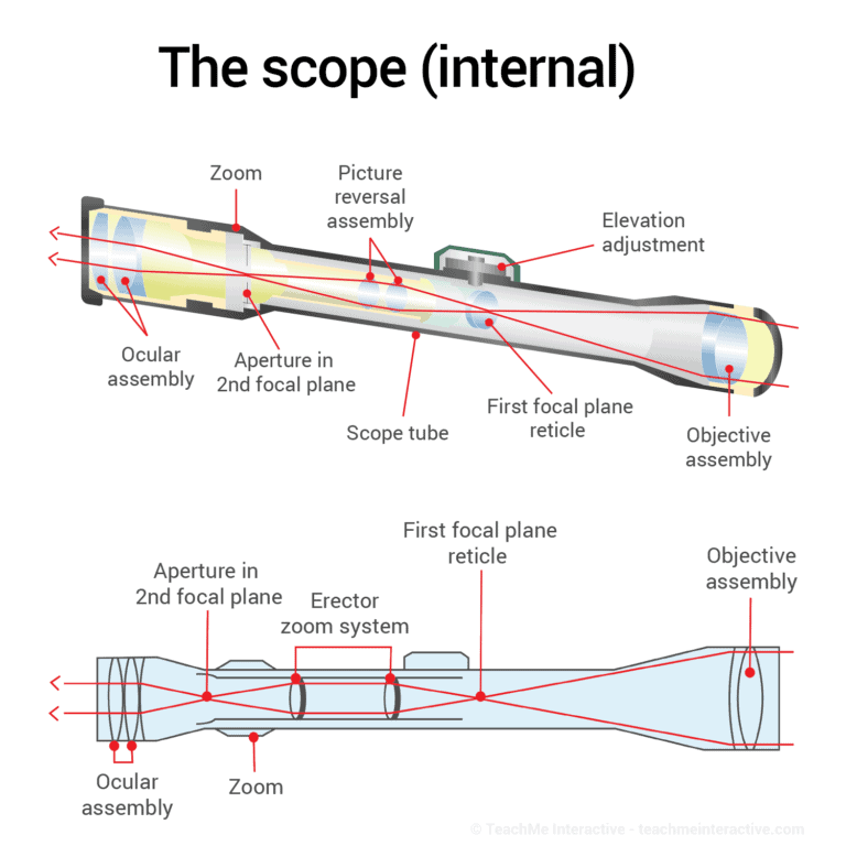 Everything You Should Know About Scope Internal Anatomy