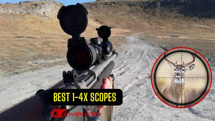 Best 1-4x Scope Reviews