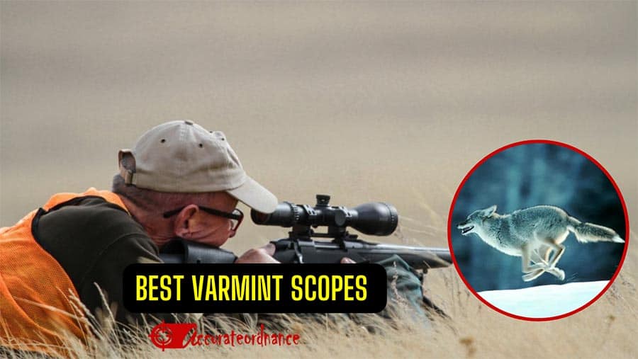Best Varmint Scope Reviews