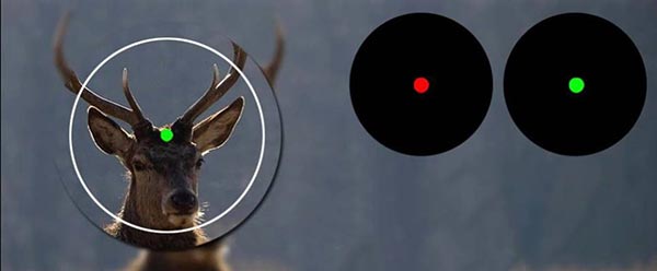 red or green dot sights